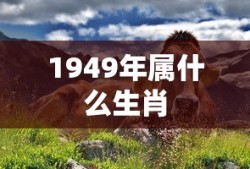 1949年属什么生肖