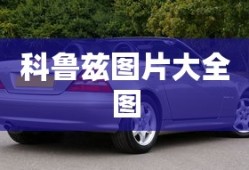 科鲁兹图片大全图