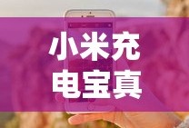 斯金纳箱子原理