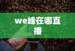 we峰在哪直播