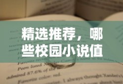 值得一读的精选校园小说推荐