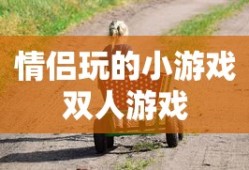 情侣玩的小游戏双人游戏