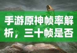 手游原神帧率解析，三十帧是否为唯一选择？