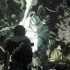 光与影33号远征队坛子打不打说明