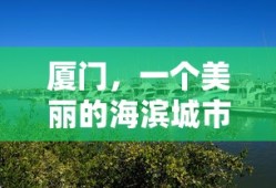 厦门，海滨之城的美丽与魅力