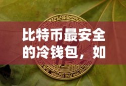 如何保护你的数字资产，比特币最安全的冷钱包选择与使用指南