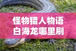 怪物猎人物语白海龙哪里刷