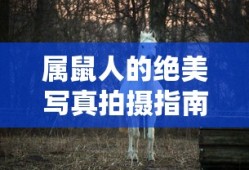 CTF中的漏洞类型及其挑战