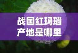战国红玛瑙产地是哪里的最好