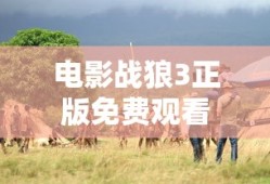 电影战狼3正版免费观看