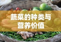 蔬菜的种类与营养价值，全面解析蔬菜的多样性及其健康益处