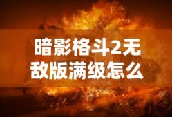 暗影格斗2无敌版满级怎么下载