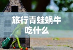 旅行青蛙蜗牛吃什么