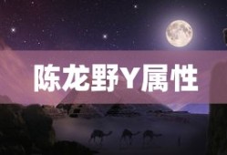 陈龙野Y属性