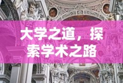 大学之道，探索学术之路的深远启示