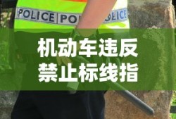 机动车违反禁止标线指示的是什么