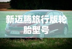 新迈腾旅行版轮胎型号