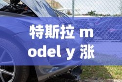 特斯拉 model y 涨价