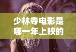 少林寺电影是哪一年上映的