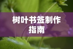 树叶书签制作指南