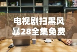 电视剧扫黑风暴28全集免费下载