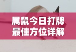 一生所爱吉他谱c调