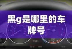黑g是哪里的车牌号
