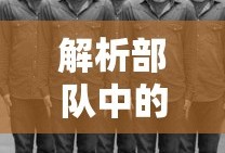 解析部队中的二八现象