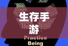春运抢票攻略，掌握抢票渠道，顺利回家过年