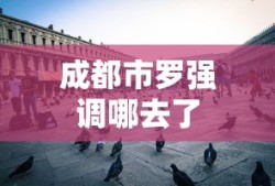 成都市罗强调哪去了