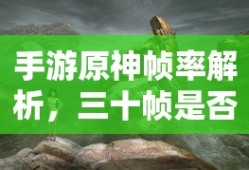 手游原神帧率解析，三十帧是否为唯一选择？