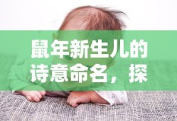 轻松交易手游账号，掌握交易指南