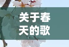 春天的旋律之歌