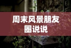 周末风景朋友圈说说