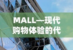 现代购物体验的代表，MALL商场
