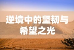手游养成模拟超市，攻略与策略实战指南