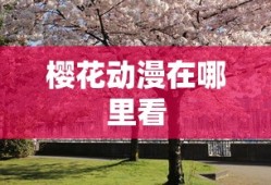 樱花动漫在哪里看