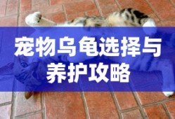 冒险岛2钓鱼怎么赚钱