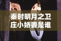 秦时明月之卫庄小娇妻是谁