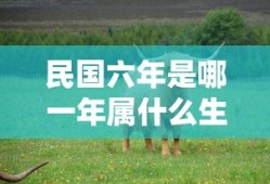 民国六年是哪一年属什么生肖