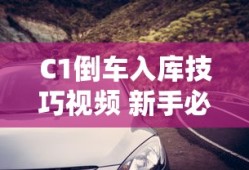 C1倒车入库技巧视频 新手必看