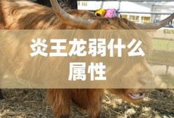 炎王龙弱什么属性