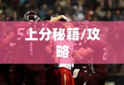 免费进销存软件免费版