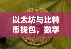 以太坊与比特币钱包，数字货币的双重保障保障体系