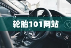 轮胎101网站