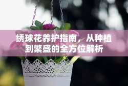 韩国电视剧在哪里看好呢