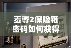 羞辱2保险箱密码如何获得