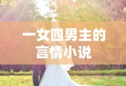 一女四男主的言情小说