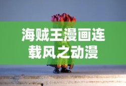 海贼王漫画连载风之动漫