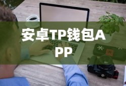 安卓TP钱包APP，数字资产管理的安全与便捷之选